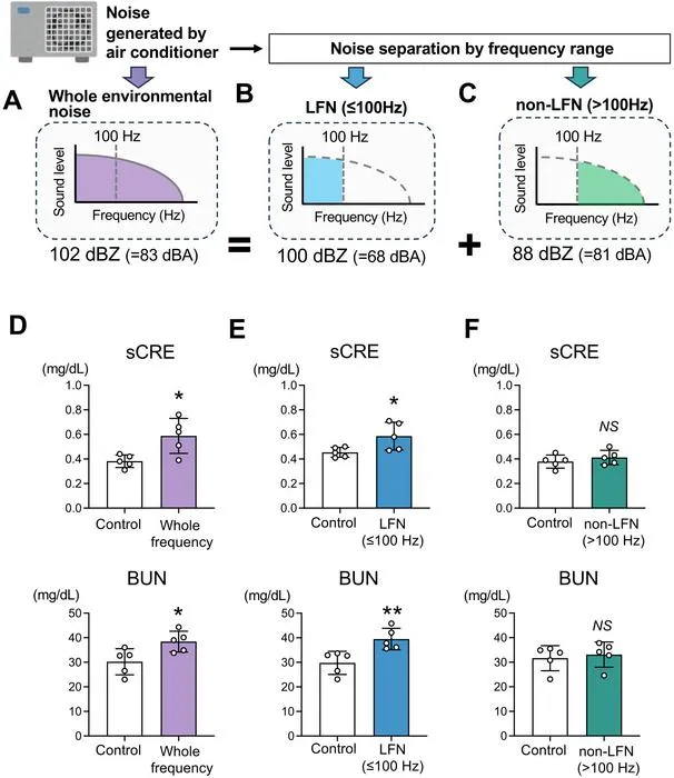 Effect of environmental noise on kidney biomarkers