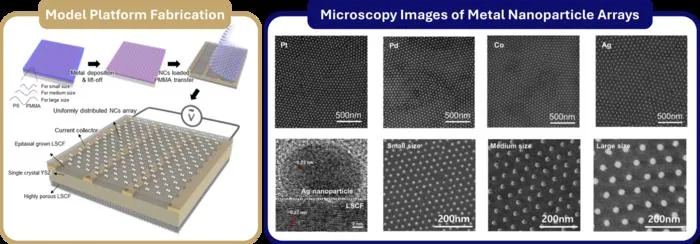 Figure 1. Fabrication process and microstructural analysis of a metal nanoparticle array-based model platform.