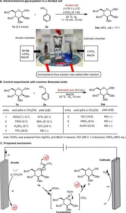 Figure 4. Mechanistic studies.