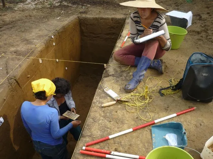 Archaeologists recording excavated section of pre-Hispanic canal-ridge formation