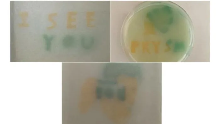Images grown using optogenetic yeast