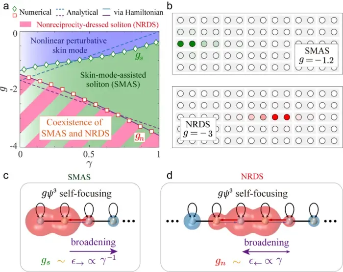 Threshold behavior (a), spatial profiles (b), and formation mechanisms of two non-Hermitian soliton families (c,d).