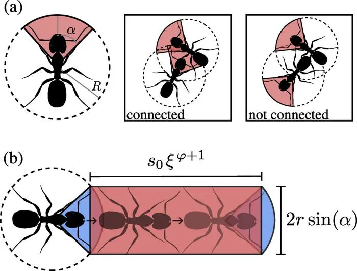 Parameters Governing Ant Interactions in the Model