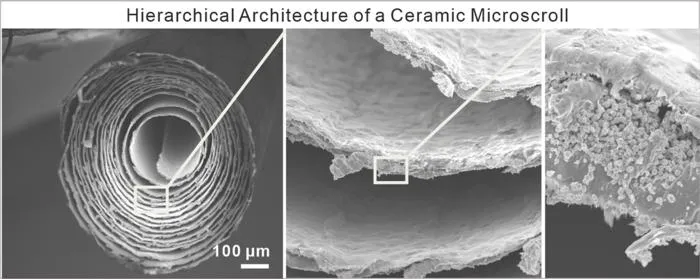 Scanning electron microscope images of the cross-section of a ceramic microscroll (2 × 25 mm).