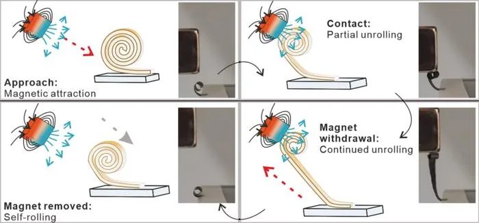 Magnetic actuation of a programmable ceramic microscroll.