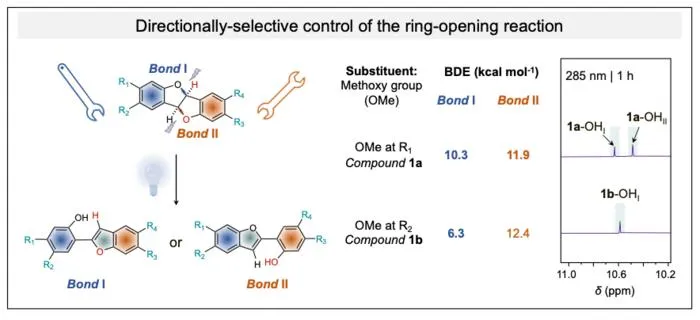 Photoisomerization pathways of asymmetric DHB derivatives