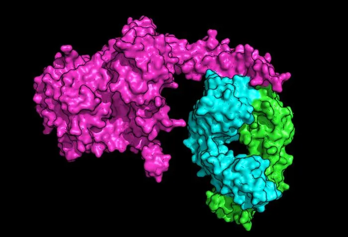 Molecule