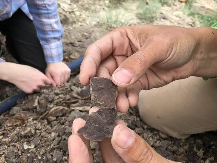 Image 6