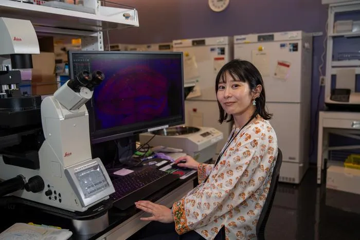 Ai Takahashi studies engrams using correlative light and electron microscopy.
