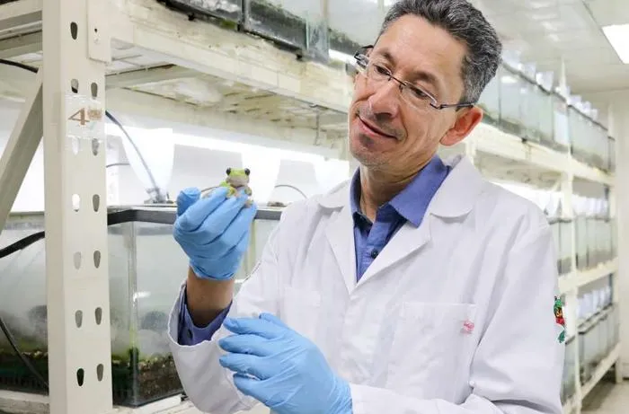 Amphibiologist Santiago Ron