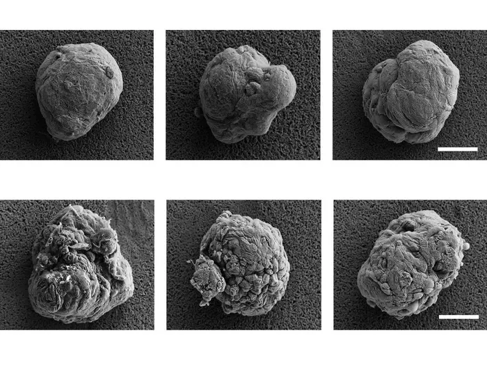 Diabetes cloak Microscopy