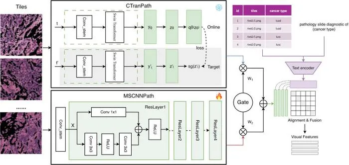 PolyU develops AI-powered virtual patient simulation system integrating multimodal data to advance personalised cancer treatment
