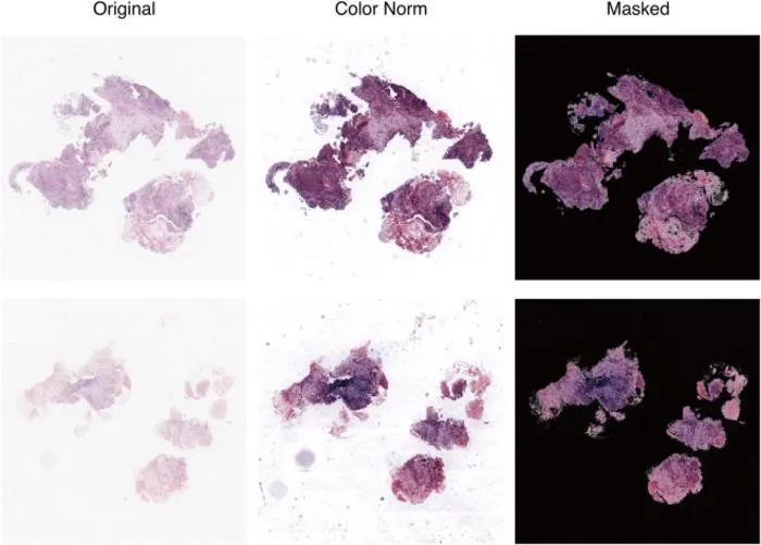 PolyU develops AI-powered virtual patient simulation system integrating multimodal data to advance personalised cancer treatment