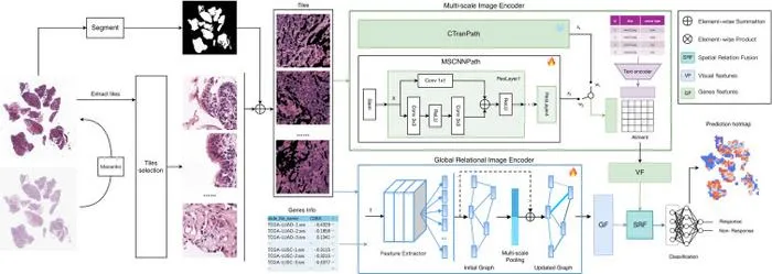 PolyU develops AI-powered virtual patient simulation system integrating multimodal data to advance personalised cancer treatment
