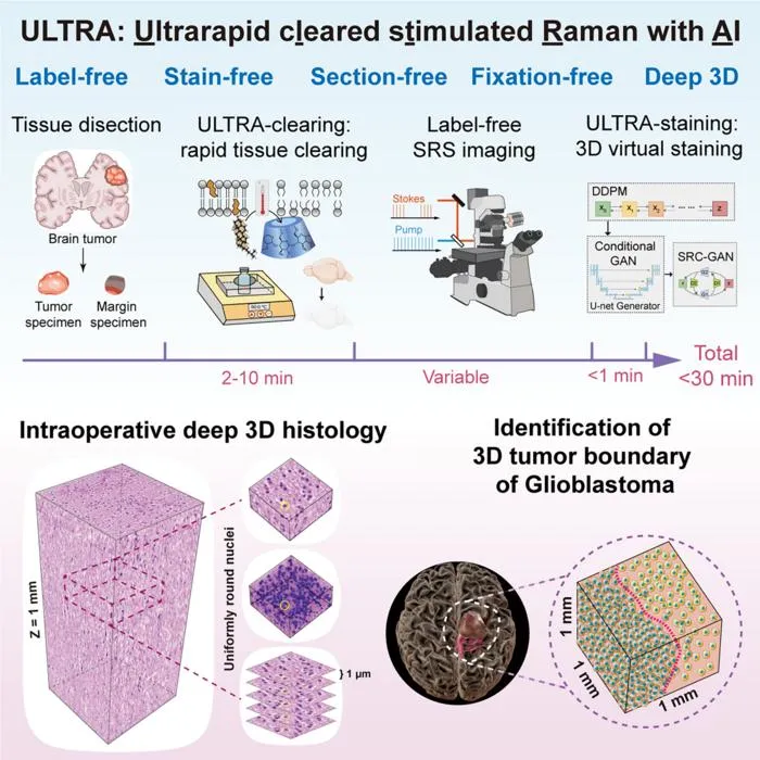 Ultrarapid deep 3D histology enables intraoperative mapping of glioma infiltration