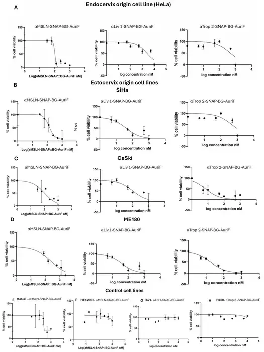 Figure 5. Cell viability curves for cervical cancer cell lines and control cell lines treated with ADCs.