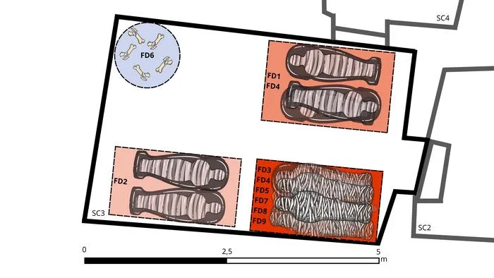 Schematic plan of SC3
