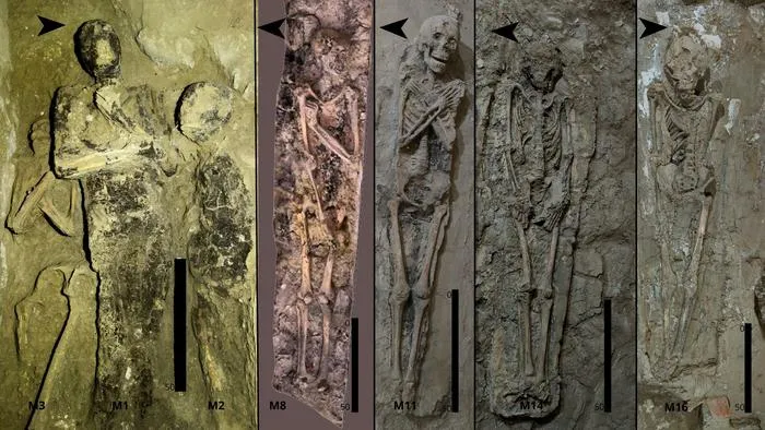Mummified individuals from TT 209