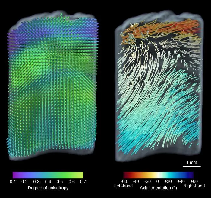3D image