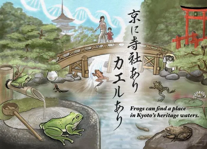 Main image - frogs in Kyoto