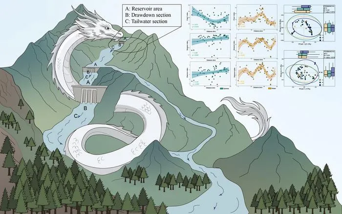 Graphical Abstract