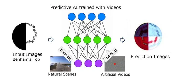 Predictive AI generating color from a black-and-white Benham’s top
