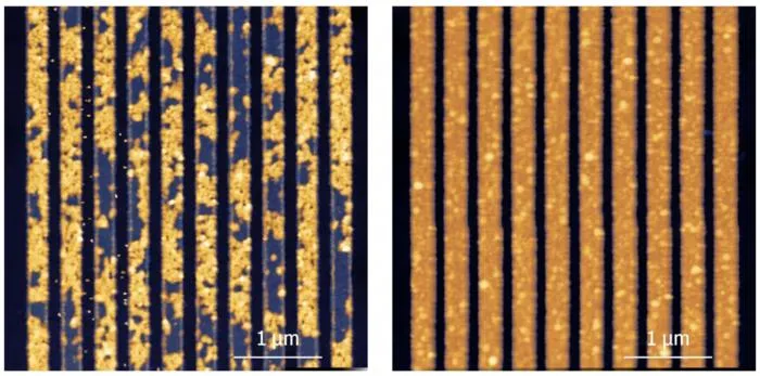 NUS CDE researchers develop atom-thin carbon insulator for next-generation microchips