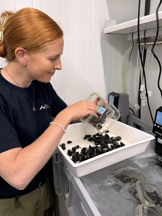 Pernille Kibak in lab