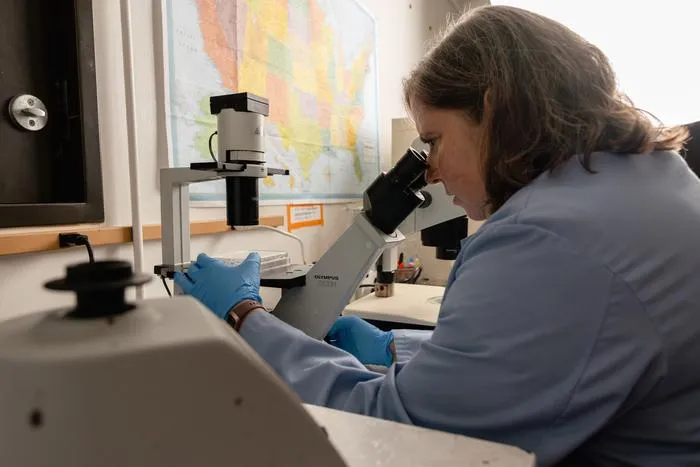 Rebecca Zufall microscope