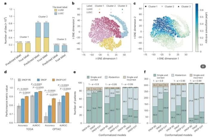 PolyU research team develops trustworthy AI framework TRUECAM to enhance reliability of pathology AI in cancer diagnosis