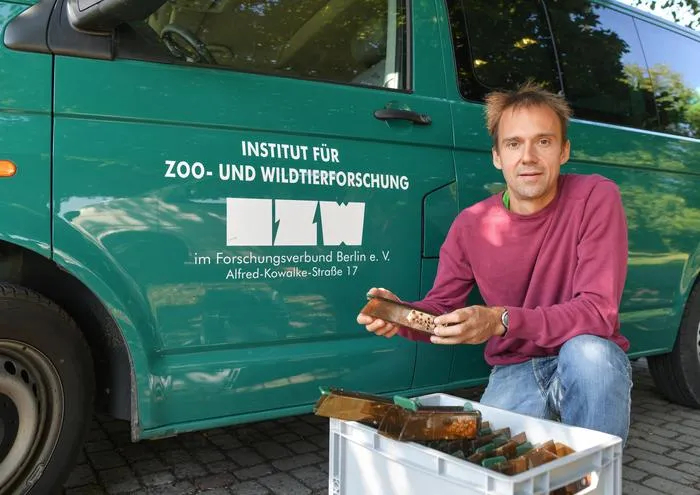 Scientist Emanuel Heitlinger with the mouse traps he uses for his research on farms