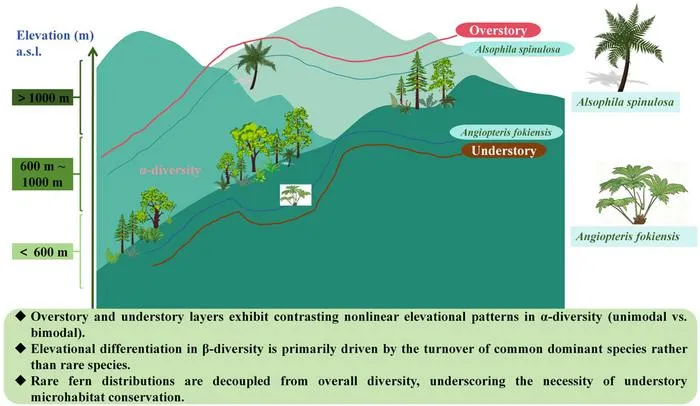 Graphical Abstract