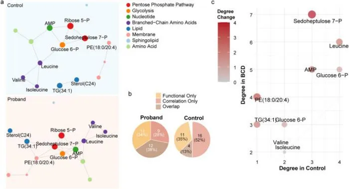 Network analysis reveals metabolic rewiring and enhanced pathway connectivity in BCD