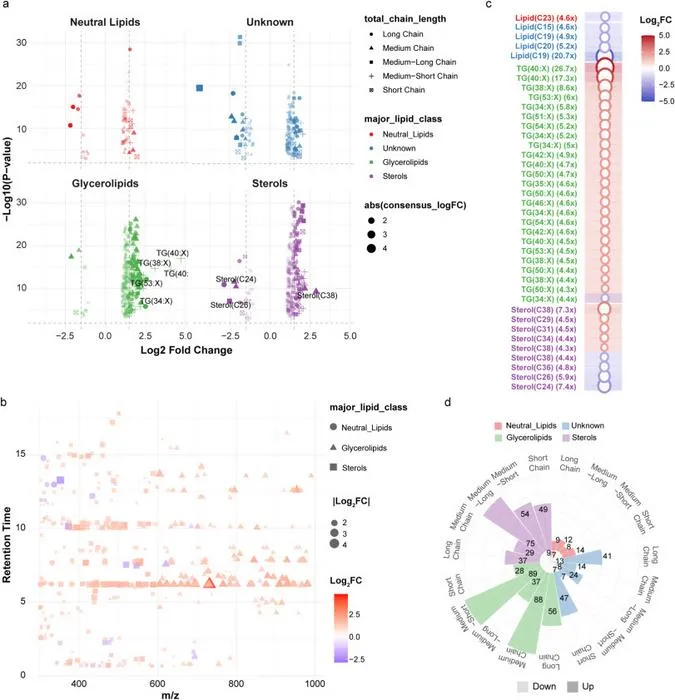Lipidomic analysis reveals systematic lipid metabolism dysfunction in patients with BCD