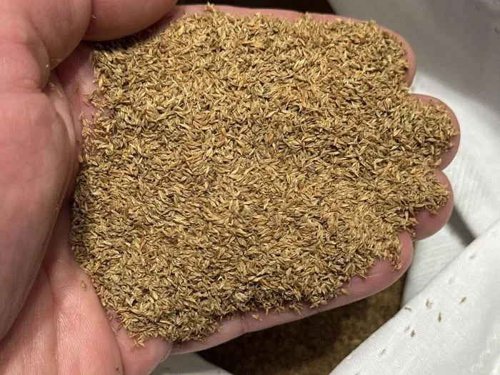 PennPoa seed