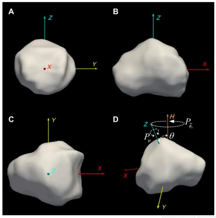 Fig. 3. Shape and spin state of Apophis. (A to C) Nonconvex shape model based on radar. (D) Short-axis tumbling period convention for Apophis.