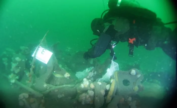 Diving the Wreck