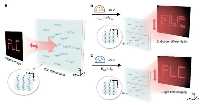 Schematic Illustration of the Fast-Switchable Optical Spatial Differentiation Based on a Reconfigurable FLC Chiral Nanostructure