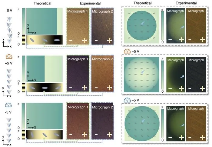 Characterization of the Reconfigurable FLC Chiral Nanostructure for Dynamic 1st/2nd-Order Differentiation