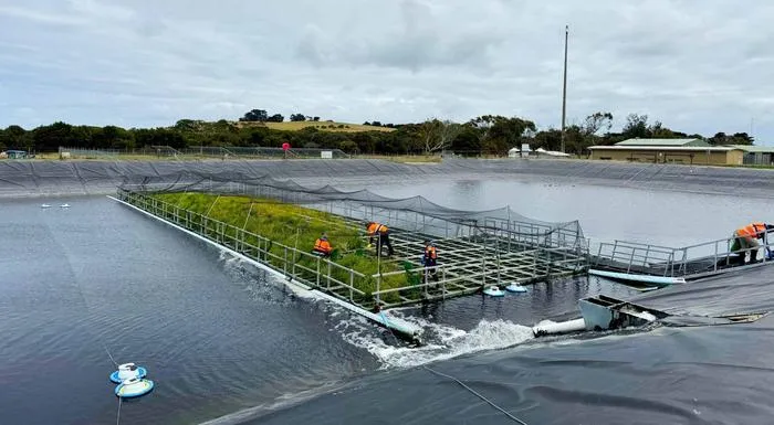 Floating wetland