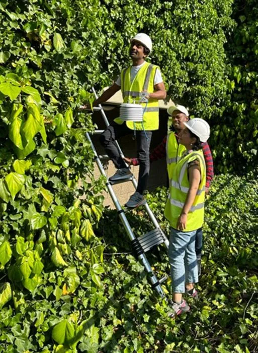 Installation of Network Sensors