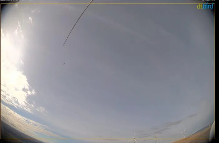 View of eagle from system