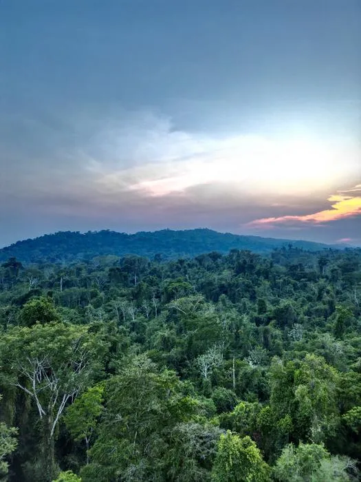 Lacandon Rainforest in Chiapas, Mexico