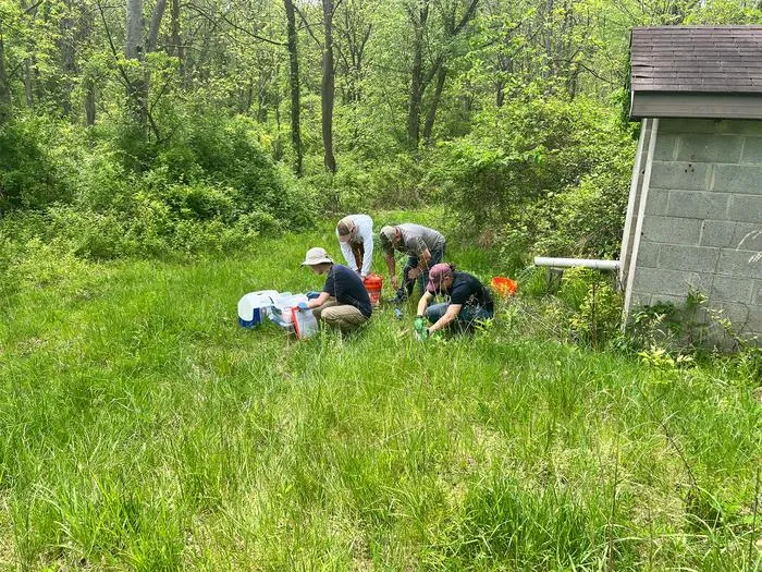 Sampling field photo