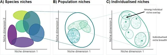 Heuristic Representation of the Different Niche Levels