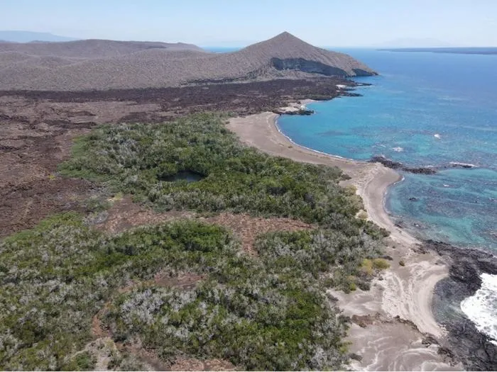 Aerial photo of Playa Tortuga Negra.