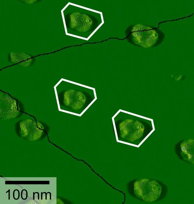 Atomic force microscopy image