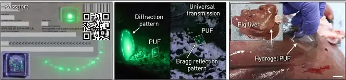 KAIST Uses Light to Distinguish Real from Fake with Hard-to-Replicate “Artificial Fingerprints”
