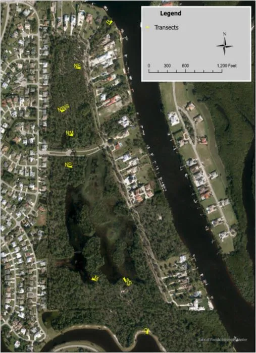 Transects within Spruce Bluff Preserve