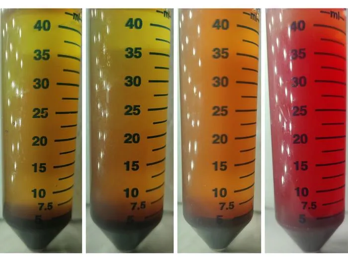 Blood Culture Vials Photo